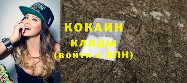 шишки Балабаново