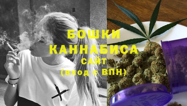 шишки Балабаново