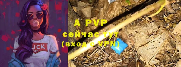 шишки Балабаново